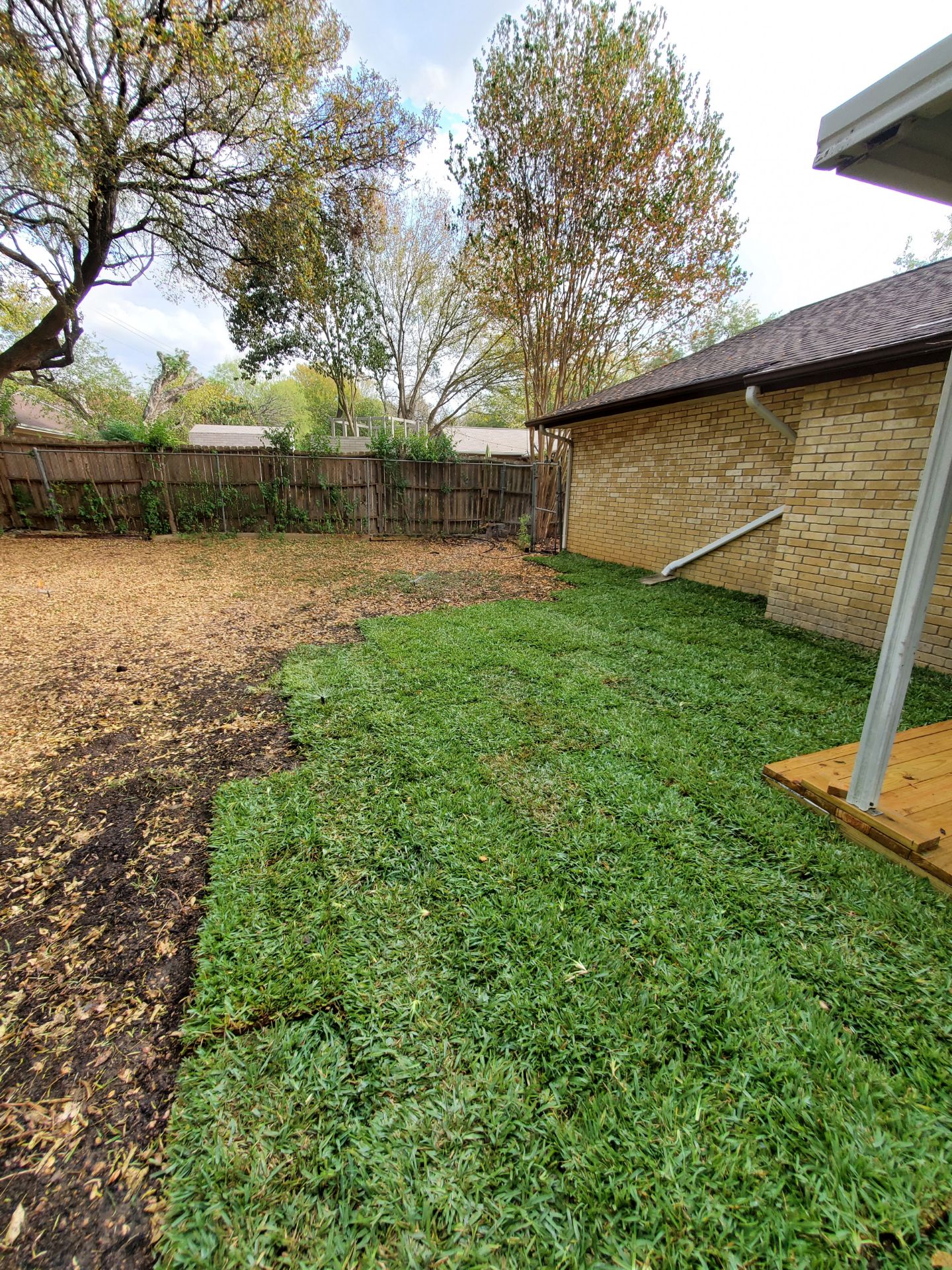 Image of bew san Augustine grass installed and maintained ...