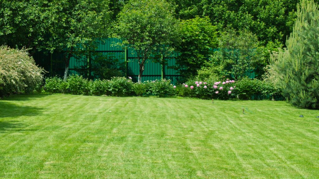 3 Tips for a Greener Lawn in San Antonio This Summer